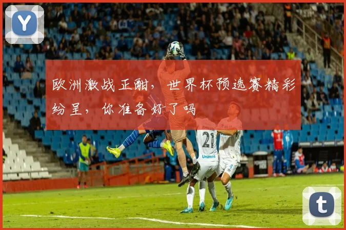 欧洲激战正酣，世界杯预选赛精彩纷呈，你准备好了吗