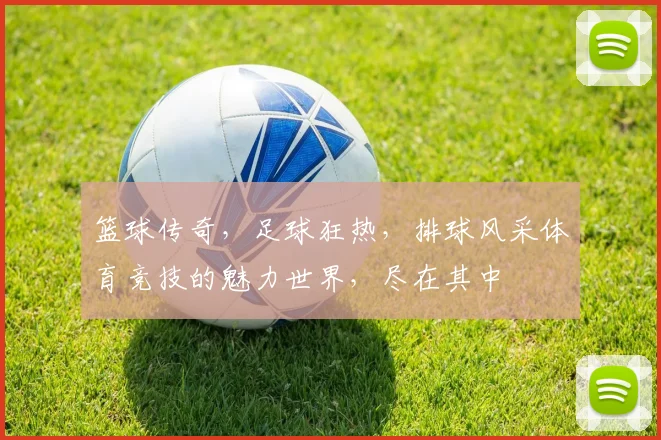 篮球传奇，足球狂热，排球风采体育竞技的魅力世界，尽在其中