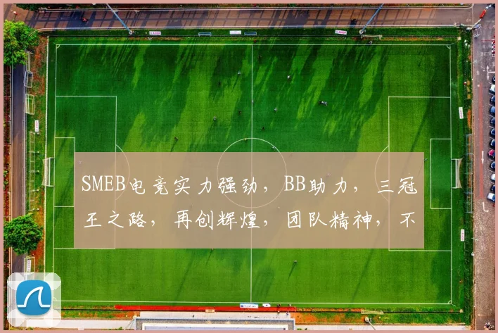 SMEB电竞实力强劲，BB助力，三冠王之路，再创辉煌，团队精神，不可阻挡