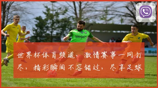 世界杯体育频道，激情赛事一网打尽，精彩瞬间不容错过，尽享足球盛宴