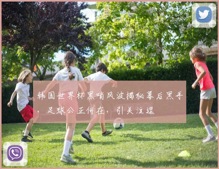 韩国世界杯黑哨风波揭秘幕后黑手，足球公正何在，引关注逗